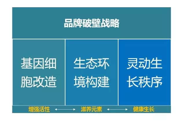 品牌升級(jí)必看的四大策略！