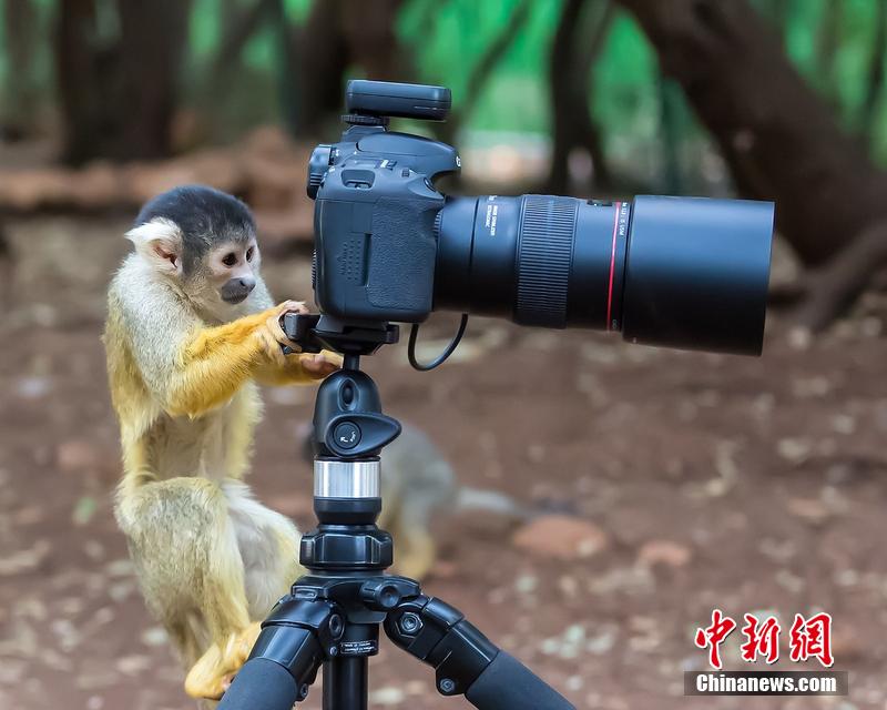 宣傳片拍攝時(shí)突出主體？