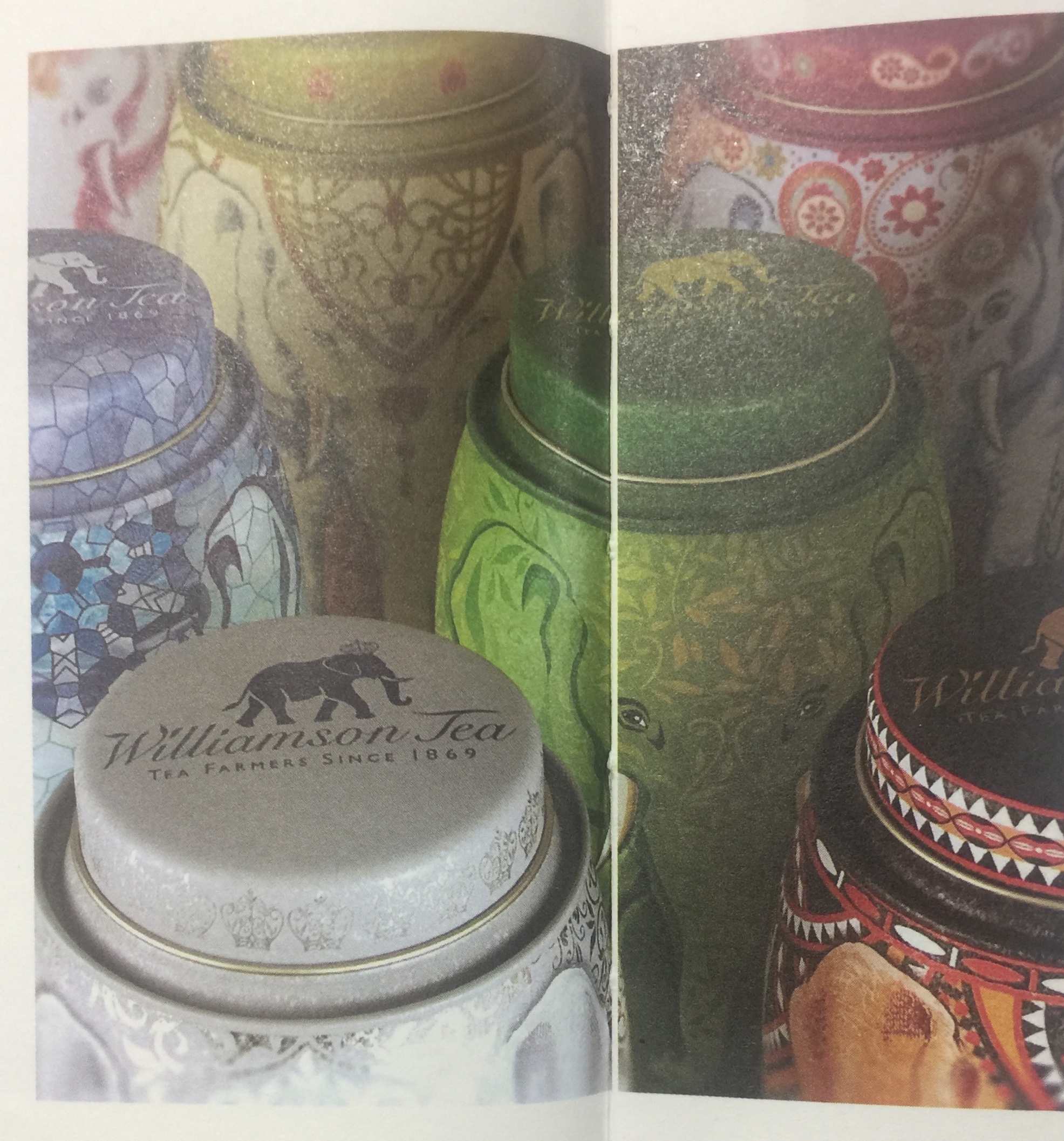 罐裝-傳統(tǒng)風(fēng)格的茶葉包裝設(shè)計