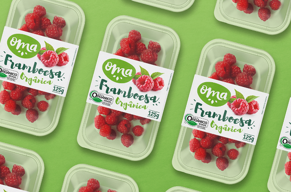 覆盆子包裝設(shè)計 覆盆子包裝設(shè)計