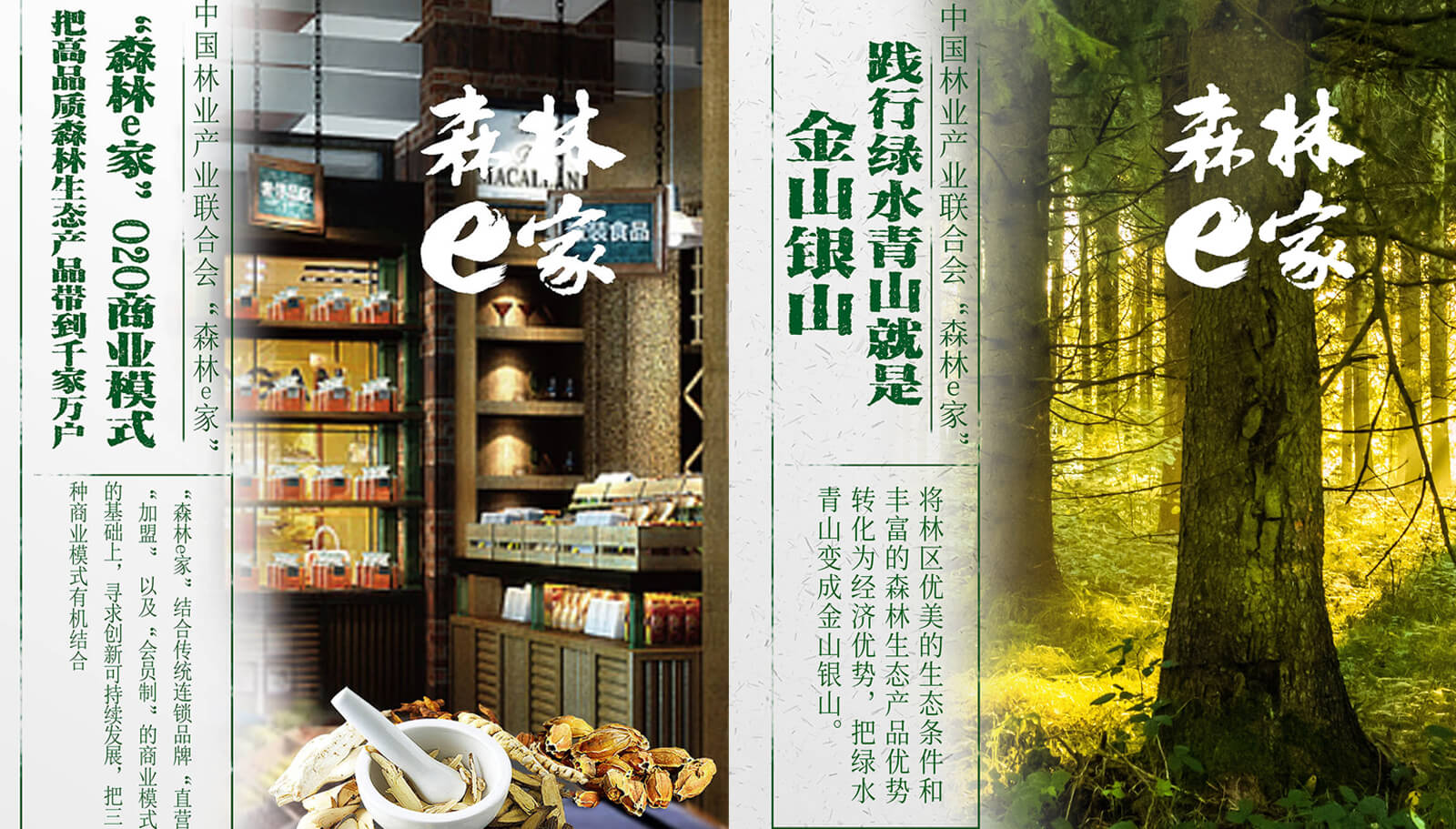 1562741921560345.jpg 品牌策劃全案設計