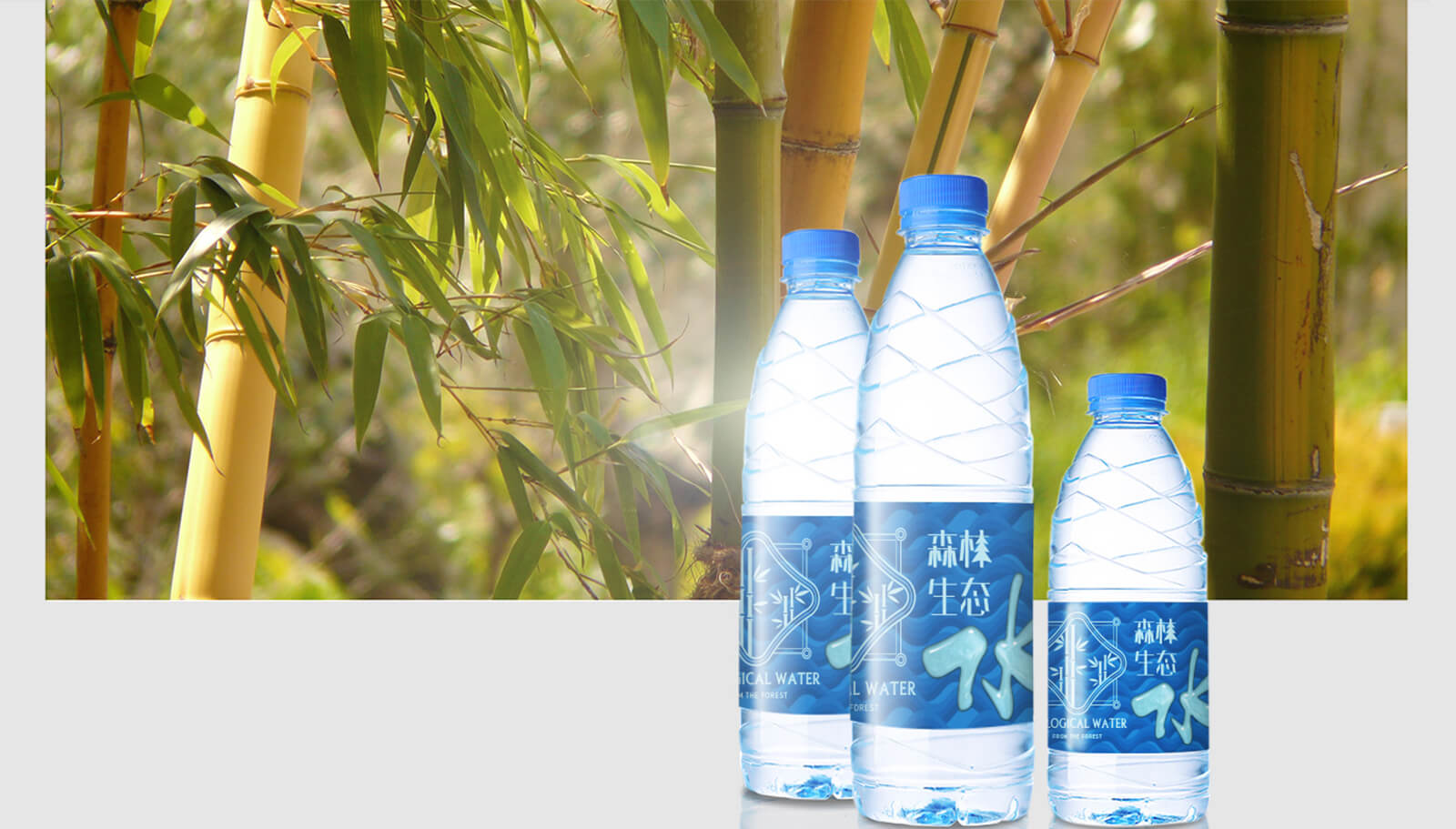 1562741921608393.jpg 品牌策劃全案設計