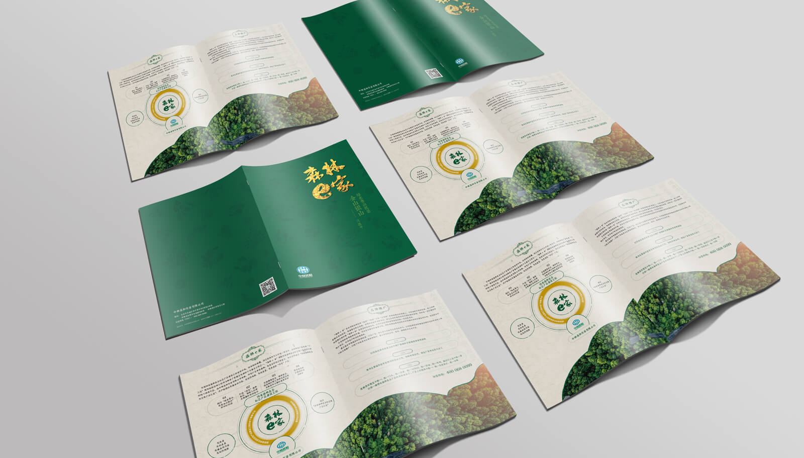 1562741921710955.jpg 品牌策劃全案設計